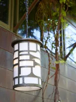 Arteriors Shani Outdoor Pendant