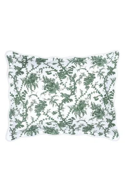 Matouk San Cristobal Cotton King Sham In Green