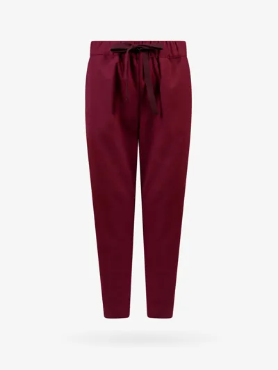 Semicouture Trouser In Purple