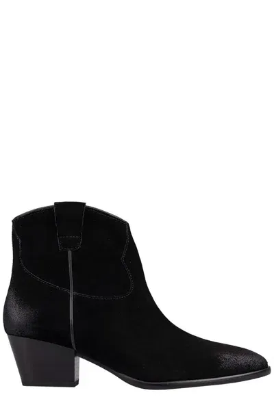 Ash Pointed-toe Ankle Boots In Nero