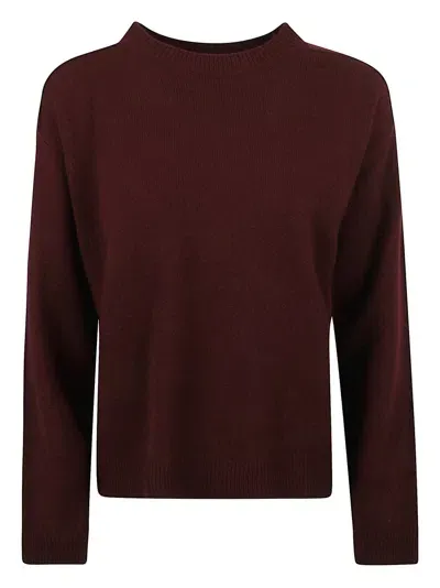 Federica Tosi Sweaters In Burgundy