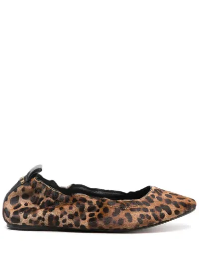 Isabel Marant Leopard-print Ballerina Shoes In Multicolor