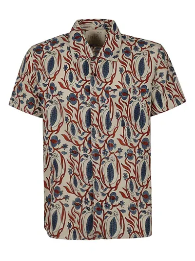 Kardo Printed Cotton Shirt In Multicolor