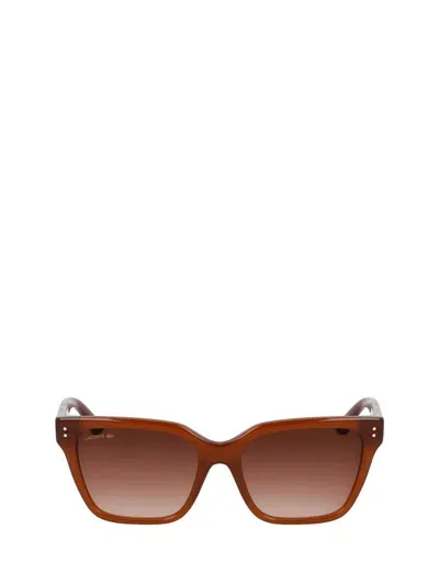 Lacoste Sunglasses In Brown