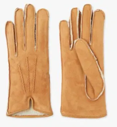 Mario Portolano Suede Gloves In Neutral