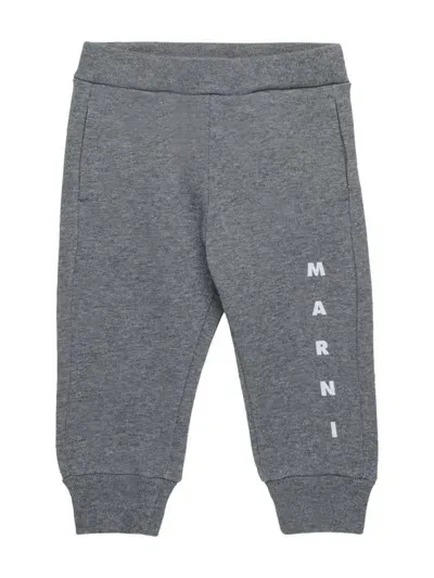 Marni Babies' Printed Trousers In Gray