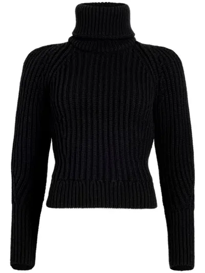 Patou Roll-neck Wool Jumper In Black