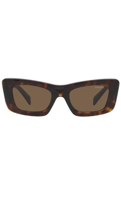 Prada Cat Eye Sunglasses In Brown