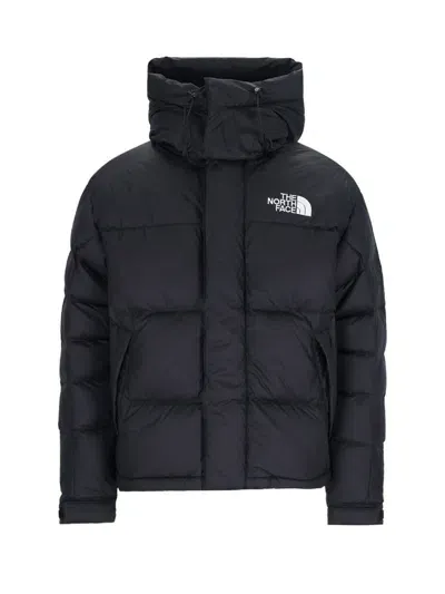 The North Face M Hmlyn Down Parka In Black