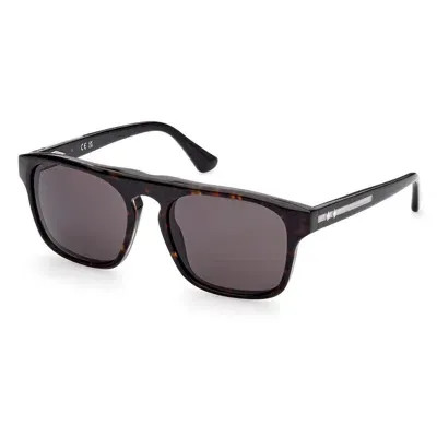 Web Eyewear Sunglasses In Brown